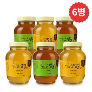 지리산 야생 아카시아꿀, 잡화꿀 - 2.4kg (6병) 자연산