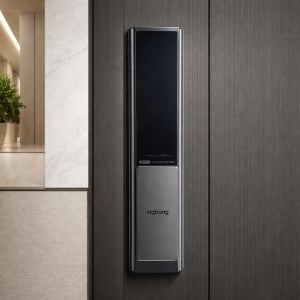 직방 ZD-P61RNXS 푸시풀 스마트 도어락 비밀번호 카드 2WAY