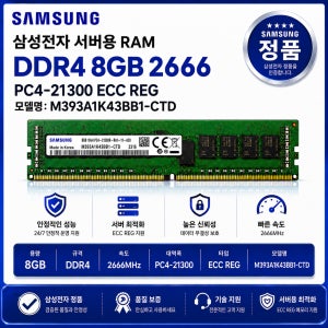 서버용 RAM DDR4 8GB 2666 PC4 21300 ECC REG M393A1K43BB1 CTD