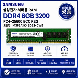 서버용 RAM DDR4 8GB 3200 PC4 25600 ECC REG M393A1K43DB2 CWE