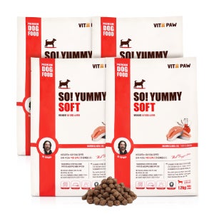 비타파우 강아지 전연령 높은 기호성 노견 쏘야미 소프트 반습식 사료 연어+크릴, 1.2kg, 4개