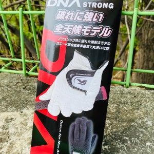 카스코 벨세무 DNA 스트롱 골프장갑 블랙컬러