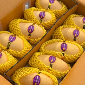 프루시아 태국 남독마이 망고 2.5kg