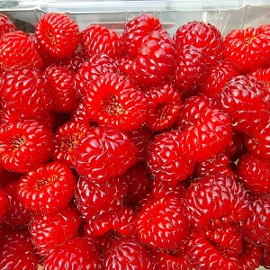 국내산 산지직송 고당도 산딸기 생과 당일수확 제철 과일 1kg 500g 250g
