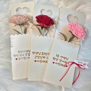 카네이션 용돈봉투 부모님 어버이날 스승의날 이벤트 돈봉투 봉투형