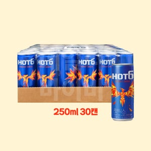 핫식스 250ml 30캔