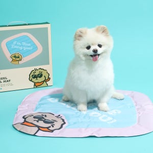 파인댕 파인젤 쿨매트 강아지 고양이 여름 쿨 방석 냉감 매트