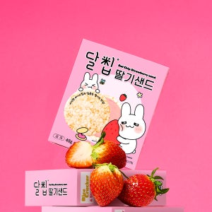 네이처오다 달칩 딸기샌드 4개입