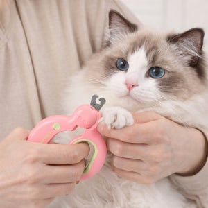 강아지 고양이 안심 발톱깎이 LED 클리퍼