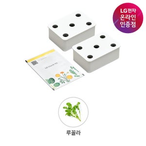[틔운용] LG 틔운 씨앗키트 루꼴라 패키지 LPM49