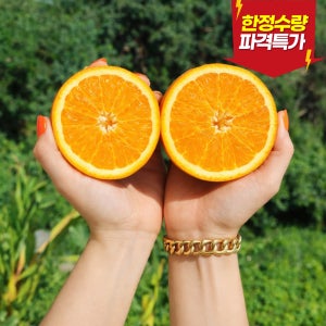 최고급 퓨어스펙 블랙라벨 프리미엄 고당도 네이블 오렌지 당도선별 중소과, 150g, 20개