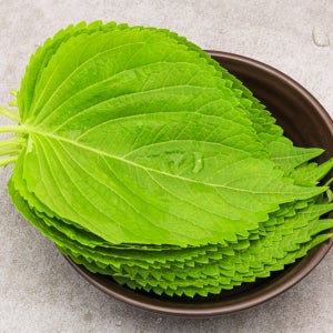 국산 제철 생 깻잎 찹찹이깻잎 깻순 쌈채소 장아찌