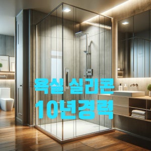 화장실실리콘시공 전문업체 욕실 아파트 오피스텔 가정집 프리미엄 세면대 변기 욕조 줄눈시공