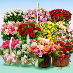 일산꽃배달 생일 어버이날 축하 카네이션 꽃바구니 일산꽃바구니배달 굿서비스 꽃배달