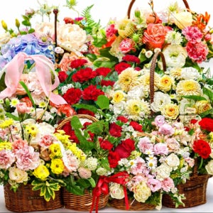 태백꽃배달 생일 어버이날 축하 카네이션 꽃바구니 태백꽃바구니배달 굿서비스 꽃배달