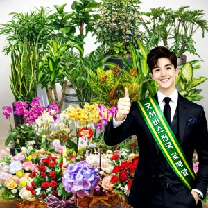 하남꽃배달 하남화분배달 어버이날 카네이션 꽃바구니 서양란 개업식 축하화분 배달 당일꽃배달