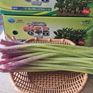 자연산 야생 머위나물 노지머위대 잎제거 4kg, 1개