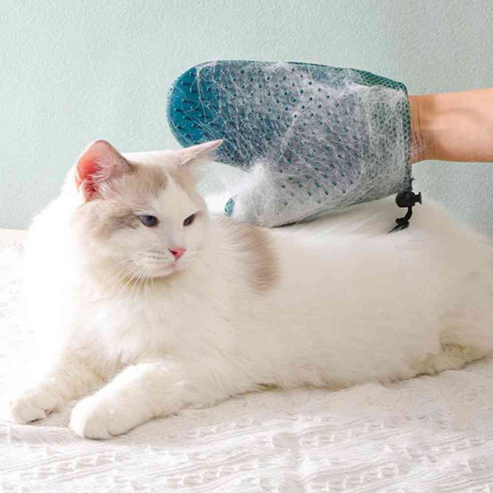 이안 고양이 그루밍 장갑 블루 고양이실리콘빗 (이안)