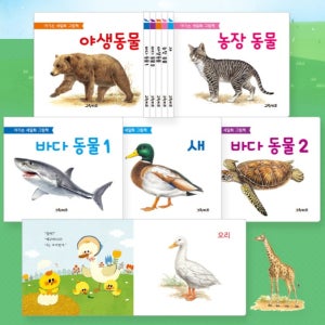 아기 전집 놀이책 돌아기 책 동화책 그림책 도서 스토리북