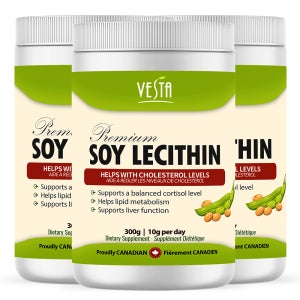 베스타 100% 캐나다산 NON-GMO 대두 레시틴 분말 과립형 300g, 3개