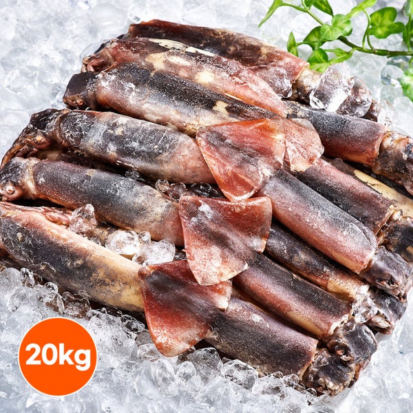 적도오징어 20kg 먹물 통마리 냉동 선동오징어 대용량 업소용 벌크