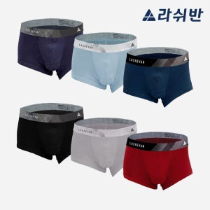 라쉬반 프리미엄 리치셀 더블듀오 6종