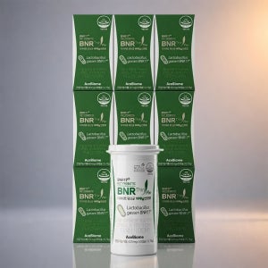 BNR17 비에날씬 유산균 프로 다이어트 425mg 30캡슐 9개 체지방감소
