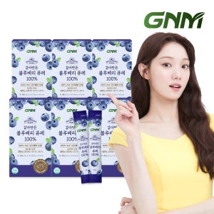 GNM 갈아만든 NFC 블루베리 퓨레 100% / 즙 주스 14포, 6개