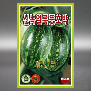 KS 신녹얼룩풋호박 50립 잘 달리고 깔 좋은 재래종 맛 호박 씨앗 씨 국내생산 종자