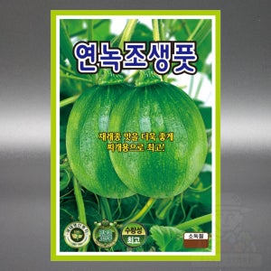 KS 연녹조생풋호박 600립 재래종 맛 찌개용 풋호박 씨앗 씨 국내생산 종자