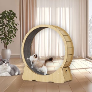 NEW WORLD 캣휠 스크래쳐 겸용 고양이 런닝머신 조용한 실내 운동기구 캣워커