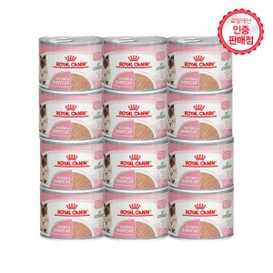 로얄캐닌 마더앤베이비 캣 캔 고양이 습식 사료 울트라 소프트 무스, 195g, 12개