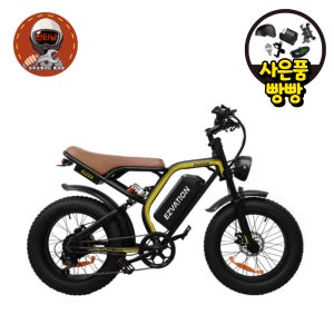 이지베이션 BS 슬릭 자토바이 전기자전거 850W 48V 10Ah 20Ah