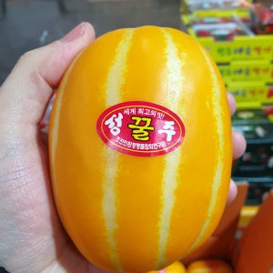 성주 참외 고당도 프리미엄 고급형 (개별망) 대과, 10kg, 26개