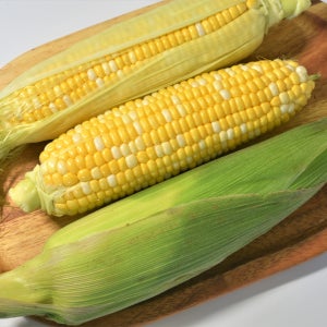 [아삭달콤] 냉동 초당옥수수 특 20개입 (14cm이상 고당도 선별) 간편 간식