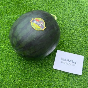 [동아과일소] 프리미엄 고당도 블랙꿀 흑수박 김지현흑수박
