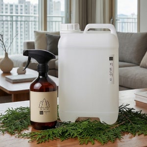 피톤이오 피톤치드 편백수 원액 스프레이 탈취제 10L, 1개