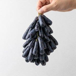 아삭하고 진한 가지포도 블랙사파이어 포도