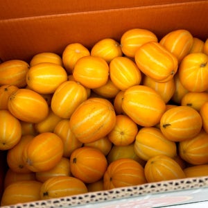 성주 꿀참외 달콤 아삭 참외 가정용 한입 꼬마, 10kg, 1개