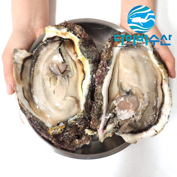 [다이버수산]바위굴 하프셀 거제도 자연산 벚굴 원물 반탈각 깐바위굴 3kg 5kg