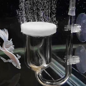어항 산소발생기 35mm 유리 기포기 수족관 작은 물고기 구피 미세 에어디퓨저 콩돌 확산기