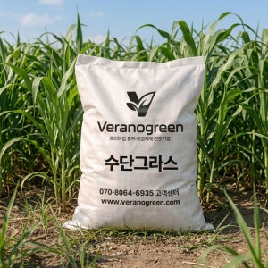 수단그라스 씨앗 10kg 250-330평분 조사료 경관용 (봄파종) 일년생