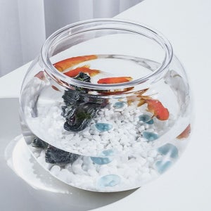 둥근 플라스틱 어항 베타 구피 18X16cm 키우기 원형 거북이