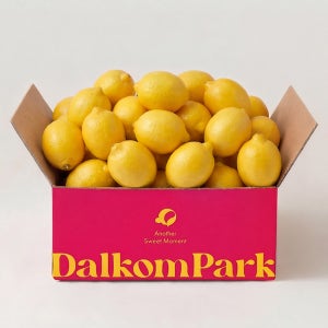 달콤파크 팬시급 레몬 대과, 4kg, 1개