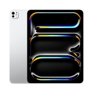 Apple 아이패드 프로 13 M5 실버 (스탠다드 글래스) 256GB, WiFi전용
