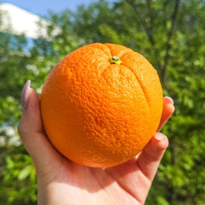 오렌지 블랙라벨 레드라벨 썬키스트 썬트리트 고당도 오렌지 업소용 식당용 카페용 벌크포장