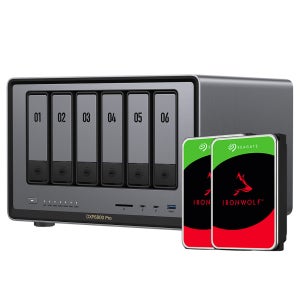 유그린 고성능 나스 6베이 NAS DXP6800Pro + 아이언울프 나스용 하드디스크 10TB x 2ea