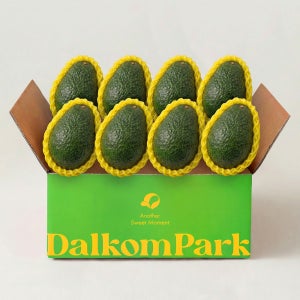 달콤파크 프리미엄 생 아보카도 대과, 2.8kg, 1개