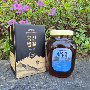 VNH 사양 밤나무꿀 2.4kg 1개 설악산 명월꿀 국산꿀
