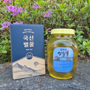 VNH 사양 아카시아 벌꿀 2.4kg 1병 설악산 명월꿀 국산 프리미엄 천연 꿀